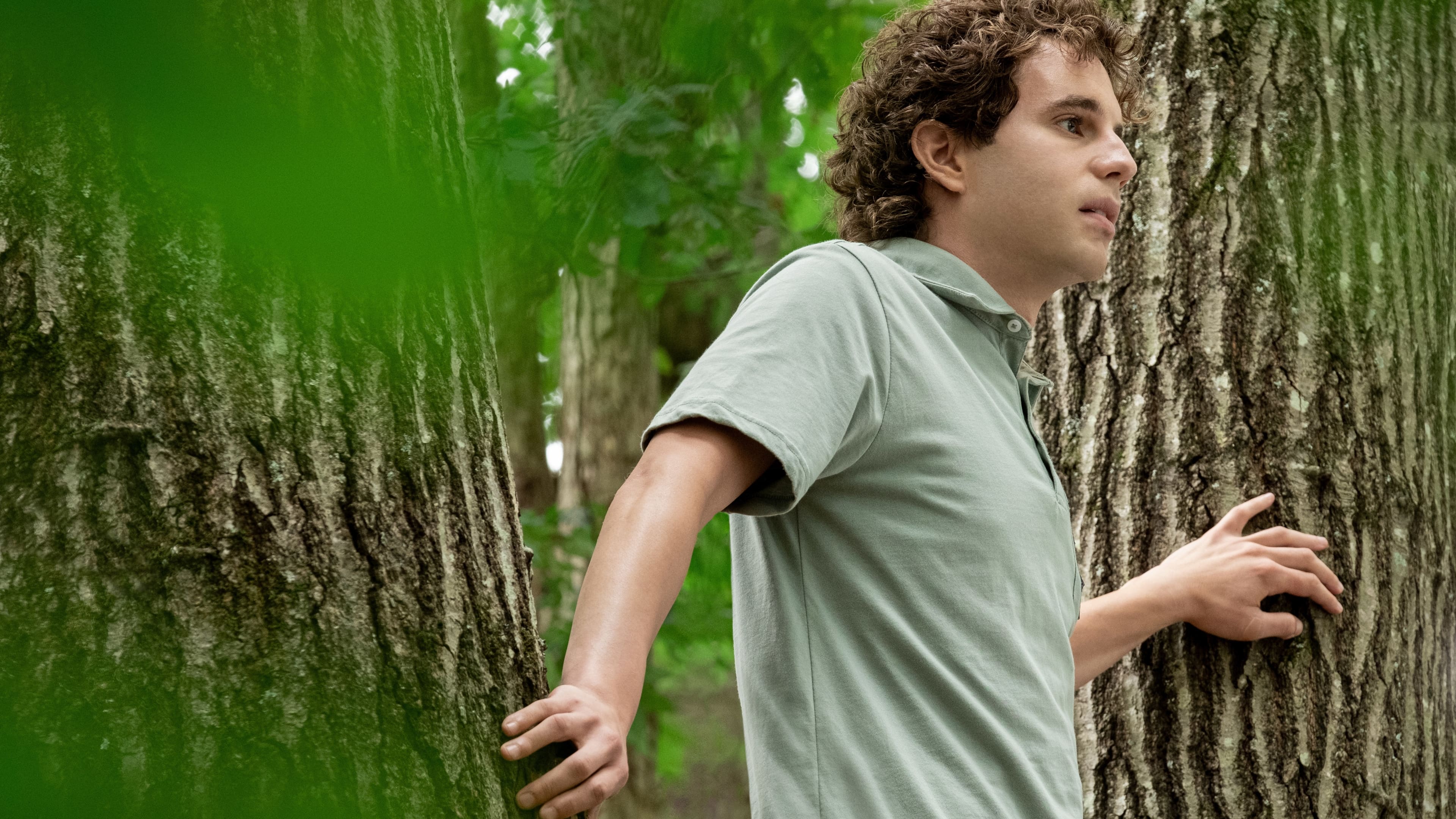 Ben Platt as Dear Evan Hansen in Tree