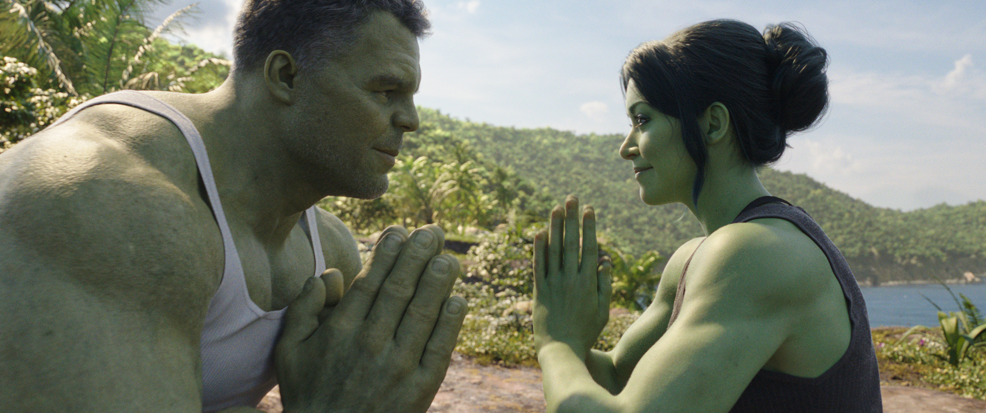 SheHulk and Bruce Banner Hulk
