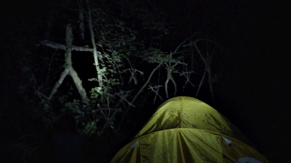 the blair witch project woods
