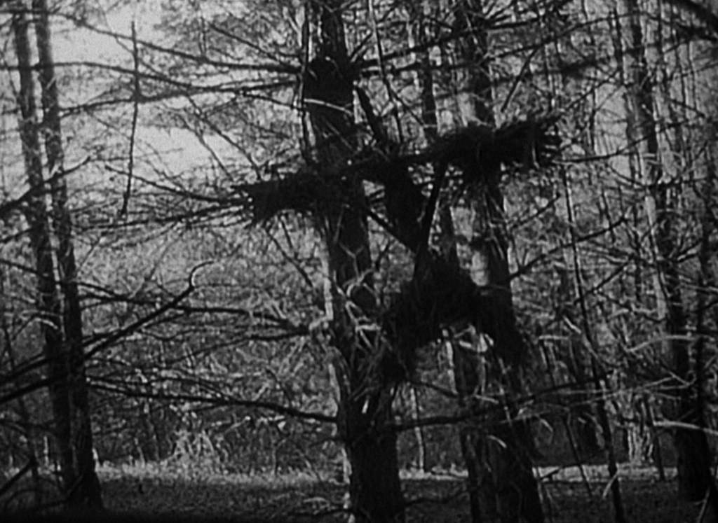 the blair witch project stick figure